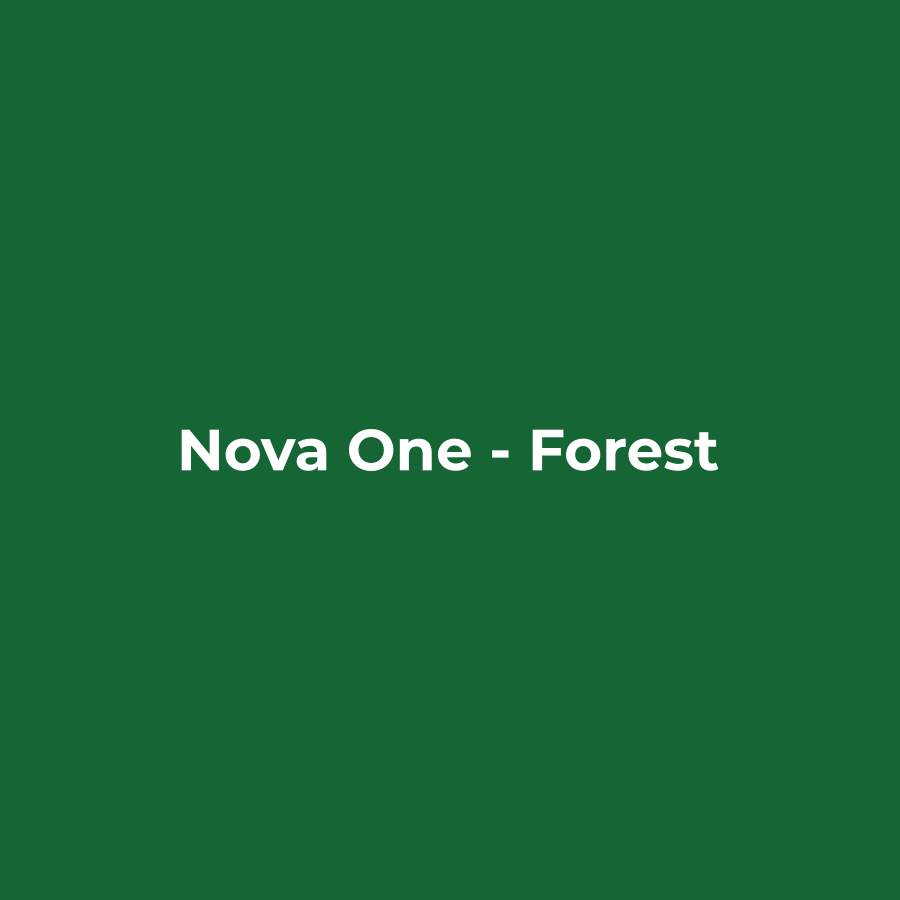 Nova One - Image 3